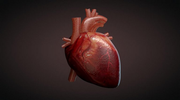 روش جدید برای کاهش آسیب‌های ناشی از حمله قلبی