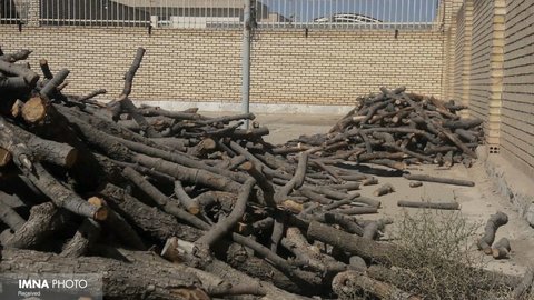۲۰ تُن چوب بلوط قاچاق در اصفهان کشف و ضبط شد