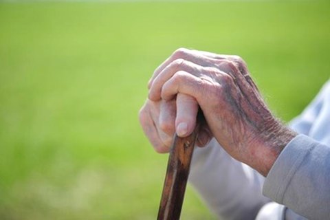 باوجود نگارش سند ملی سالمندی هنوز بحران وجود دارد