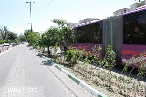 فضاهای سبز موجود در مسیر اتوبوس‌های تندرو ترمیم می‌شوند