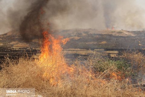 آتش سوزی در مراتع سمیرم و لنجان /وقوع ۶ حریق در مراتع از ابتدای سال تاکنون