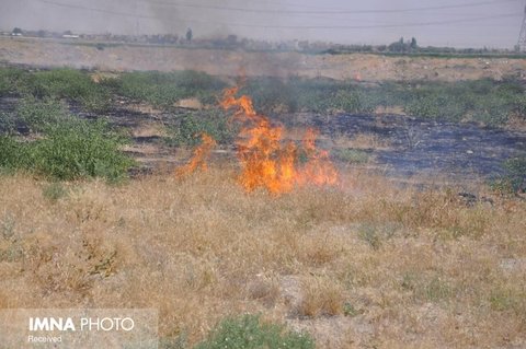 آتش‌سوزی در مراتع جعفرآباد اطفاء شد