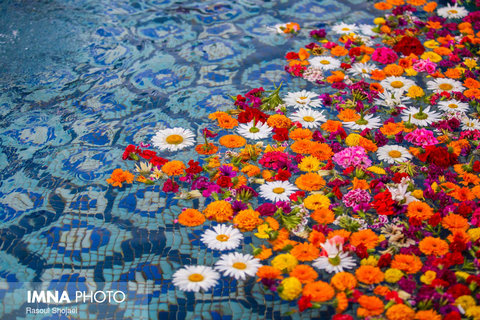 شهرداری مشهد با کاشت ۳ میلیون بوته گل به استقبال پاییز می‌رود