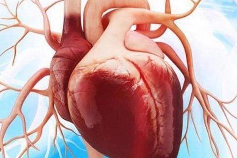 تشخیص ۱۰۰ درصدی نارسایی قلب