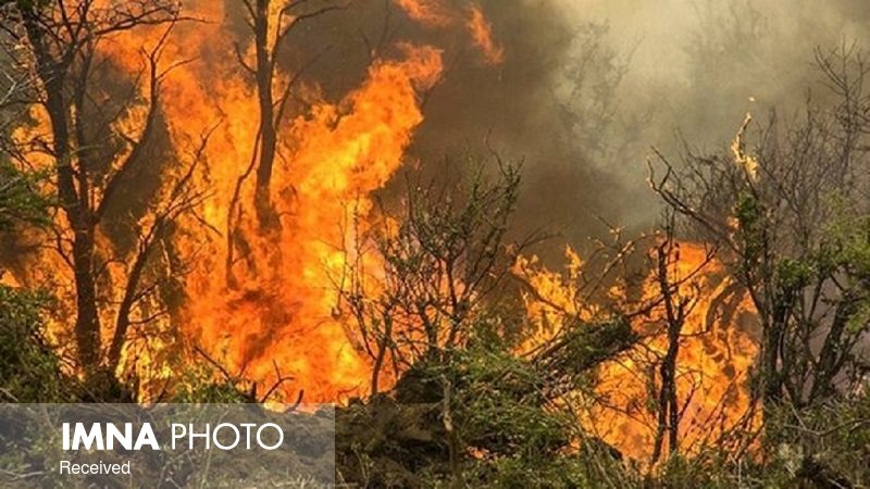 آتش‌سوزی در ۱۵ هکتار از مراتع فریدن