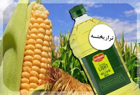 هیچ محصول تراریخته کشاورزی در ایران کشت نمی‌شود