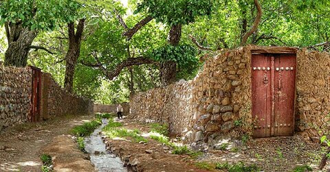 حفاظت از باغات شیراز نیازمند رویکردهای نوین است