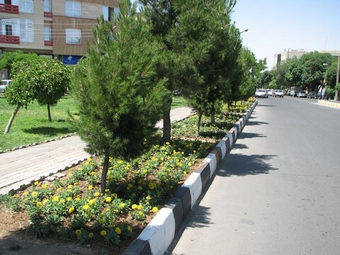 کاشت ۳ هزار  اصله درخت در شهر خوانسار 