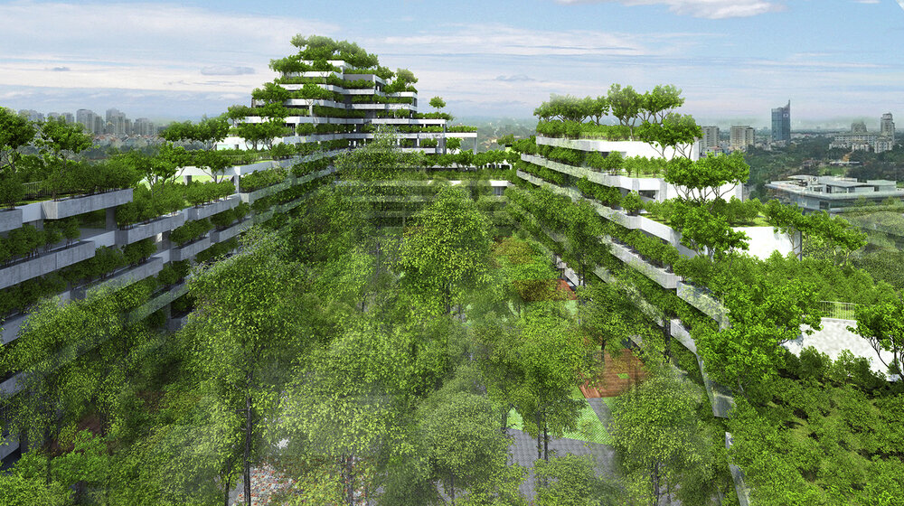 احداث جنگل شهری در دانشگاه ویتنامی