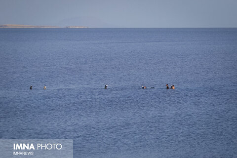 حقابه دریاچه ارومیه دوباره از آبان امسال اختصاص می‌یابد