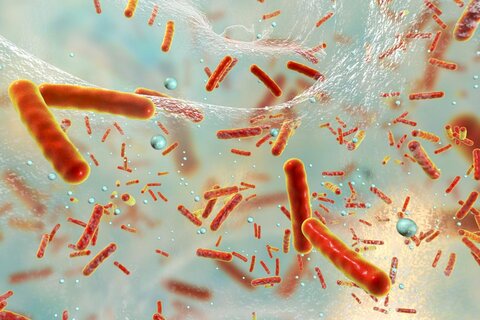 وجود بیش از ۷۰ هزار باکتری در بدن انسان