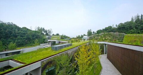 سقف سبز بر فراز یک مرکز اجتماعی در چین