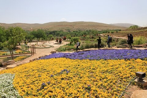 باغ گلهای شیراز با جلوه جدیدی بازطراحی می‌شود