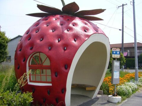 عجایب شهر/ ایستگاه‌های اتوبوس خوردنی در ژاپن!
