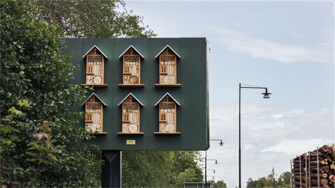 عجایب شهر/ استکهلم میزبان هتل‌های مک دونالد برای زنبورهای عسل!
