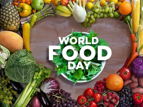 روز جهانی غذا ۲۰۲۴ World Food Day + شعار و پوستر/ کشورهایی با بیشترین هدررفت غذا