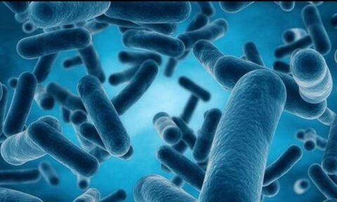 چه تعداد باکتری در بدن وجود دارد؟