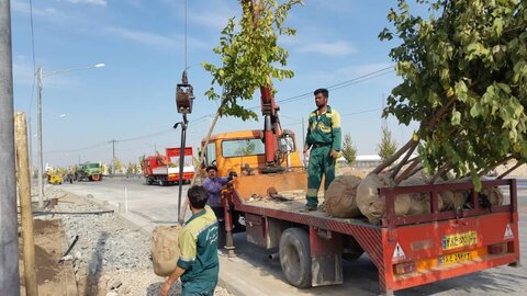 کاشت ۸ هزار اصله درخت در ارتفاعات کوه راه نصرآباد
