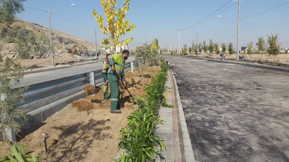 کاشت بیش از ۱۰ هزار گل و درخت در نجف‌آباد