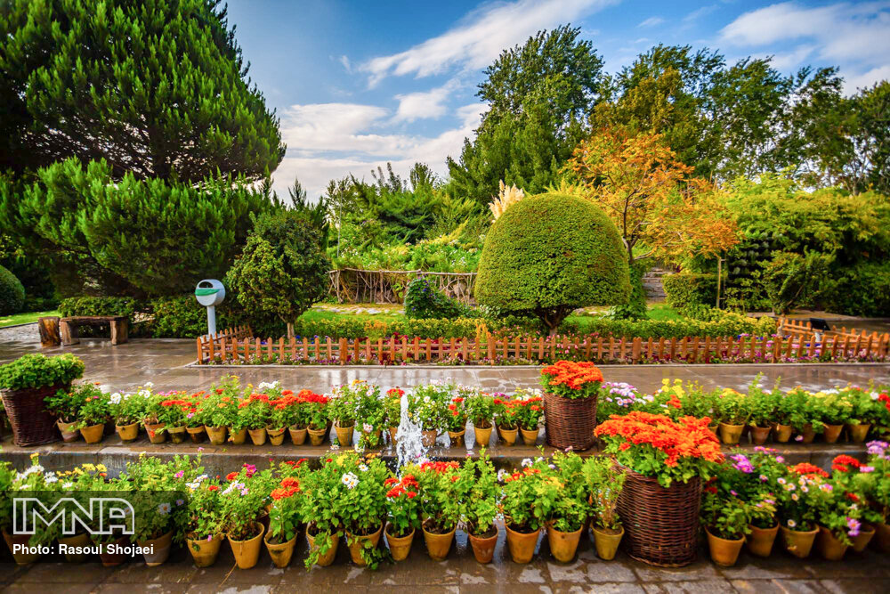 Isfahan's urban grasslands to replace with drought-tolerant plants 