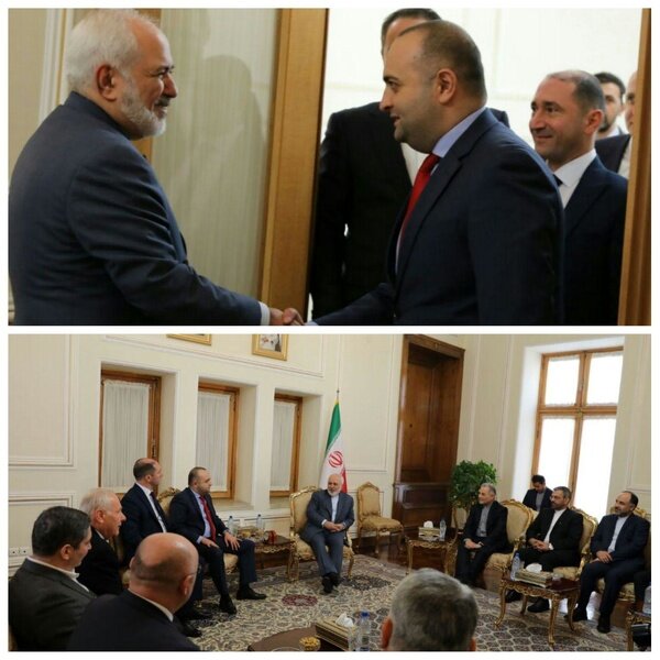 ظریف با رئیس گروه دوستی پارلمانی گرجستان و ایران دیدار کرد
