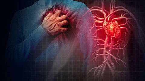 چه عاملی مرگ بر اثر بیماری قلبی را افزایش می‌دهد؟
