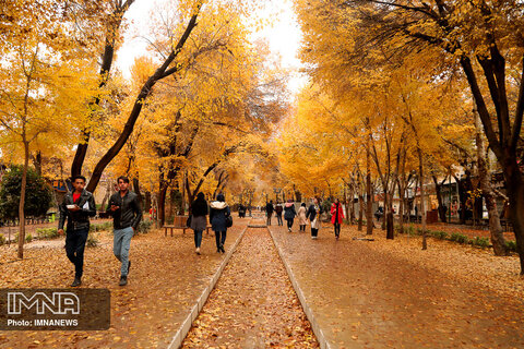 Stunning autumn in Isfahan