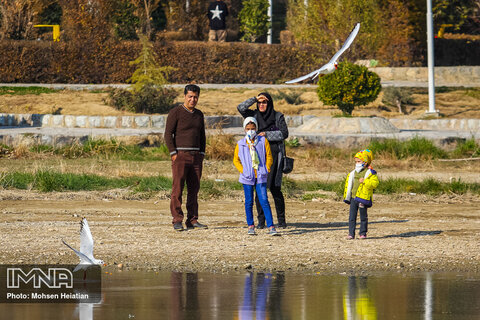 Migratory birds soaring high upon Zayanderud