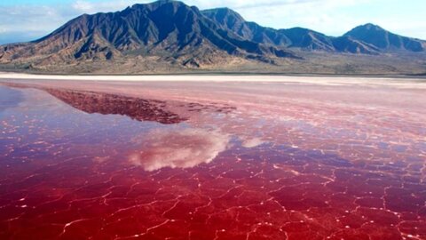 Iran's pink lagoon