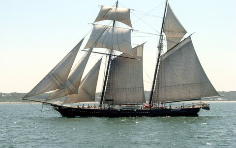 Traditional sailing revived in Iran