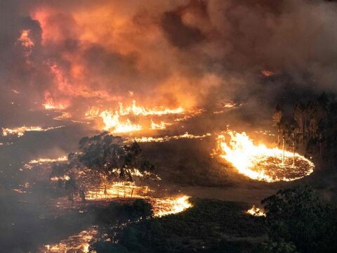 Devastating fires don’t give a break to Australia!
