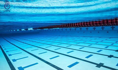 درخواست رضوانی از وزیر ورزش برای حمایت از جامعه مربیان شنا