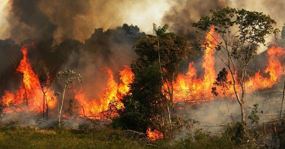 تلاش برای کنترل آتش جنگل‌های استان کهکیلویه و بویر احمد