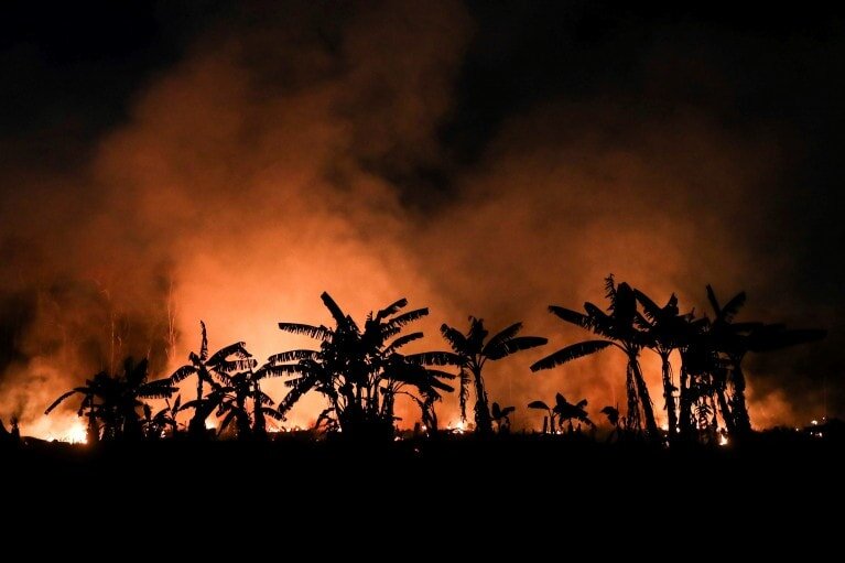 آتش‌سوزی در پارک ملی دریایی نایبند بوشهر تکرار شد