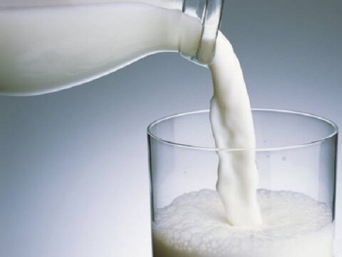 مردم بدون نگرانی شیر و لبنیات مصرف کنند