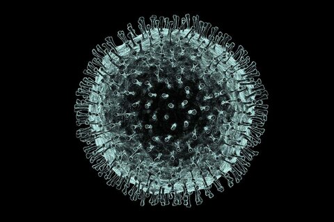 دانشمندان داروی جدیدی برای مقابله با ویروس ها پیدا کردند