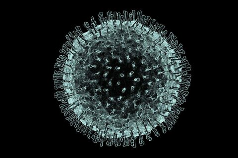 Corona virus away form Iran's neighbors