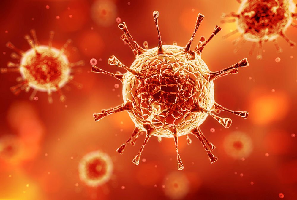 Study points to possible new path of coronavirus transmission