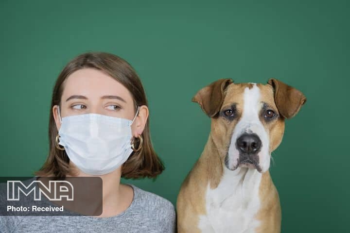 آیا حیوانات خانگی ناقل کرونا ویروس جدید هستند؟