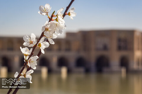 Spring is here with dazzling blossoms