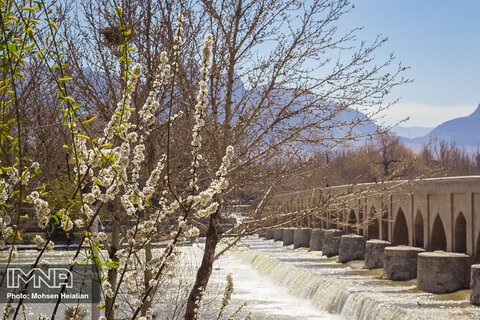 Spring is here with dazzling blossoms