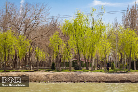 Spring is here with dazzling blossoms