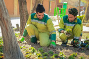 پاکسازی مرکز چهارباغ همزمان با فرارسیدن نوروز باستانی