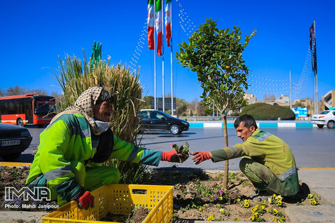  کاشت ۵ میلیون بوته گل در اصفهان 