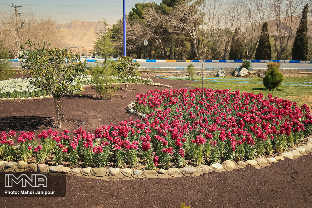 استقبال از بهار با ۱۷ میلیون بوته گل در مشهد