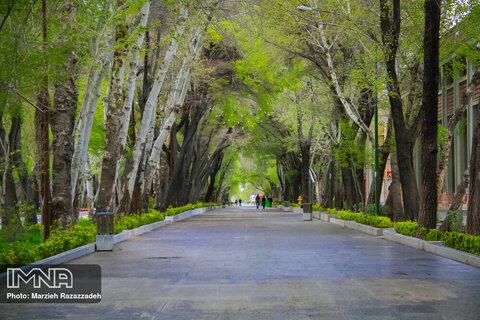 A walk through deserted Isfahan

