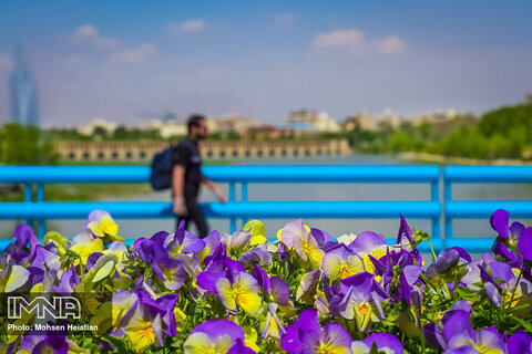 Spring waking up in Isfahan
