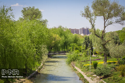 قاب بهاری اصفهان