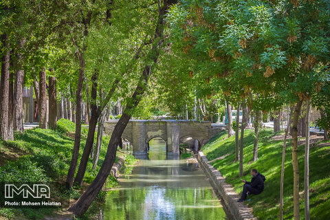 Spring waking up in Isfahan
