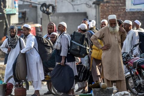 افزایش موارد ابتلا به تب دنگی در پاکستان